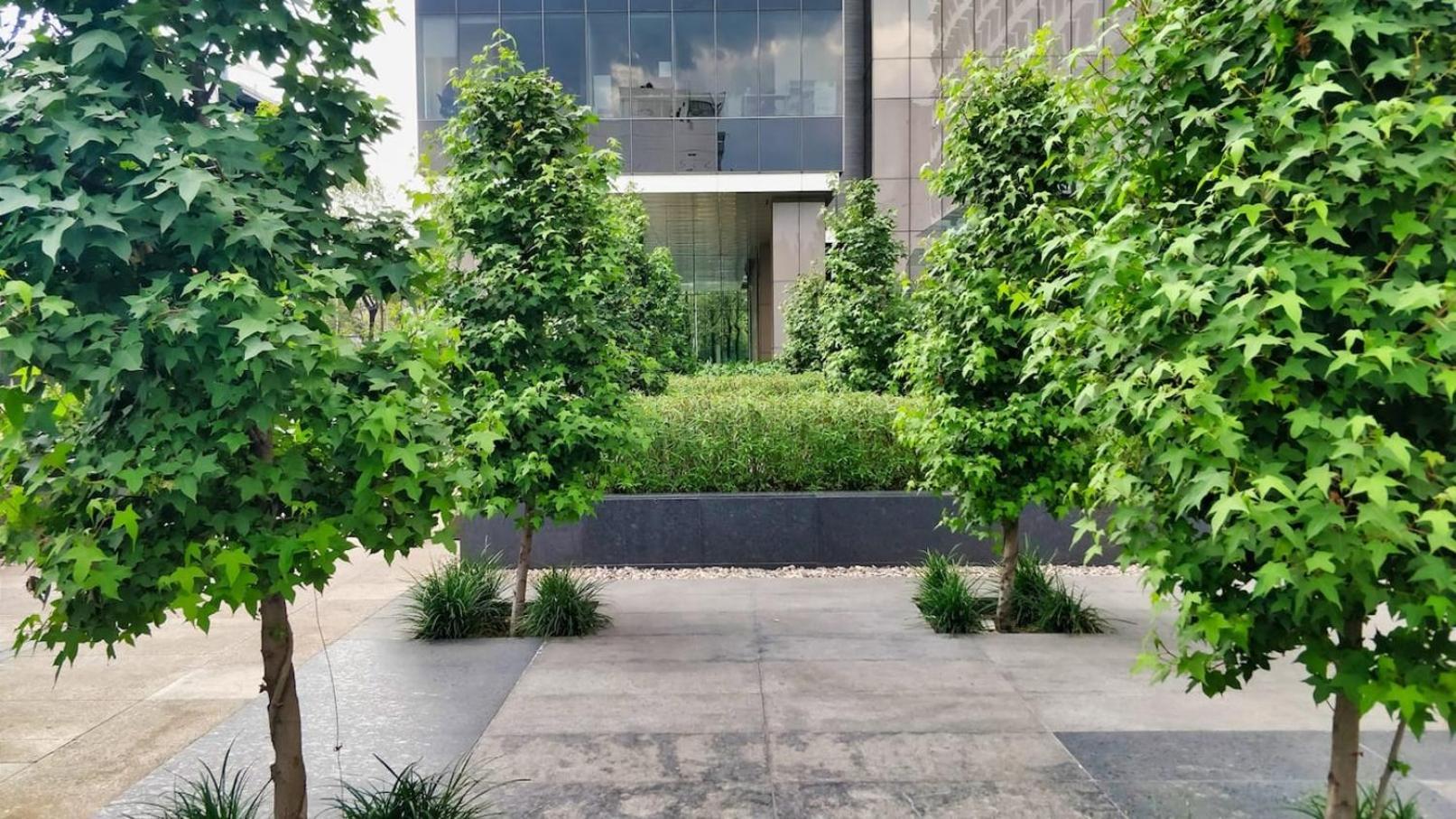 Luxurious High-Rise Hs Wifi, Amazing City Views Μεξικό Εξωτερικό φωτογραφία