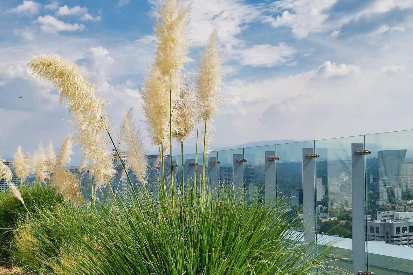 Luxurious High-Rise Hs Wifi, Amazing City Views Μεξικό Εξωτερικό φωτογραφία